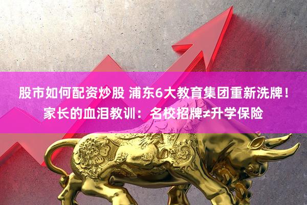股市如何配资炒股 浦东6大教育集团重新洗牌！家长的血泪教训：名校招牌≠升学保险
