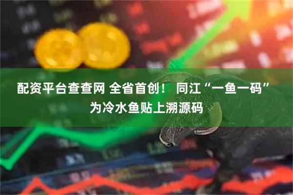 配资平台查查网 全省首创！ 同江“一鱼一码” 为冷水鱼贴上溯源码